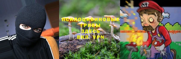 прущая мука Дмитровск