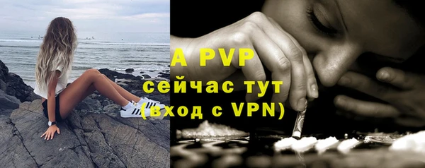 стаф Елизово