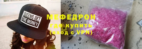 шишки Ельня