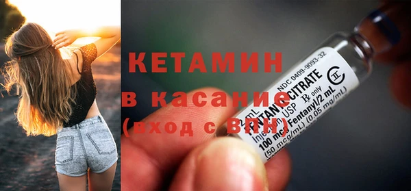 стаф Дмитриев