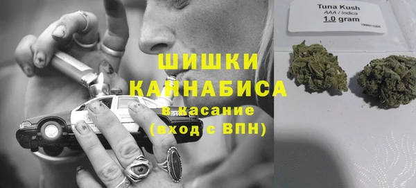 стафф Дмитров