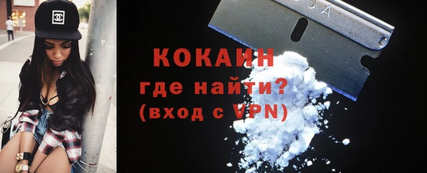 шишки Ельня