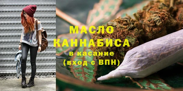 шишки Ельня