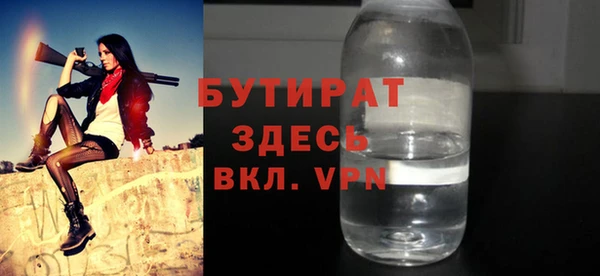 шишки Ельня