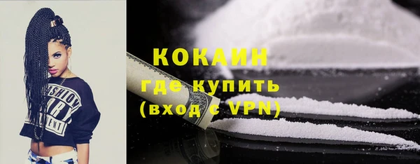 стаф Дмитриев