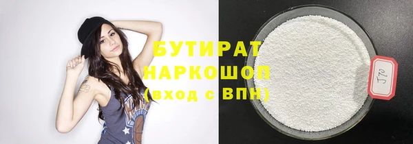 шишки Ельня