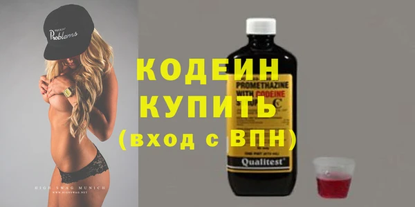 шишки Елабуга