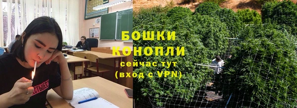 шишки Ельня