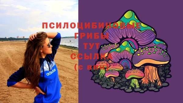 стаф Елизово