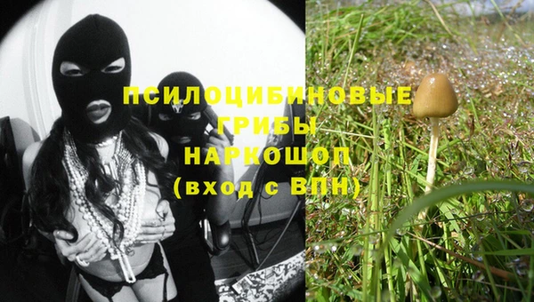прущая мука Дмитровск