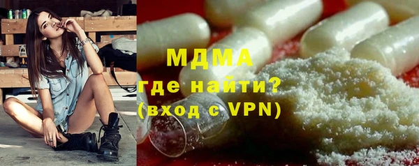 шишки Ельня
