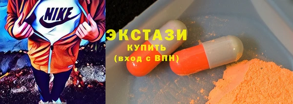 шишки Ельня